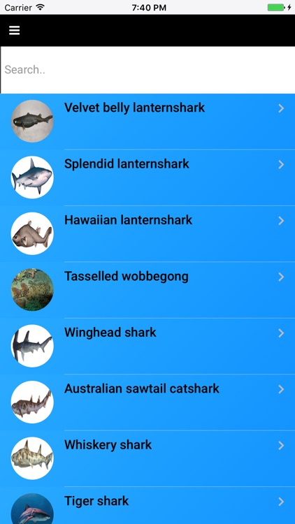 Shark Species: Hunters of the Deep