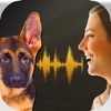 Dog Voice Translator Simulator