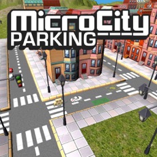 Activities of Micro City Parking