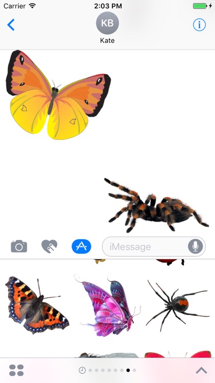 Insect Stickers Pack