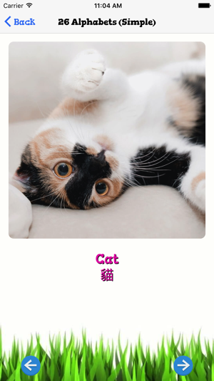 Vocabulary learning card(圖2)-速報App