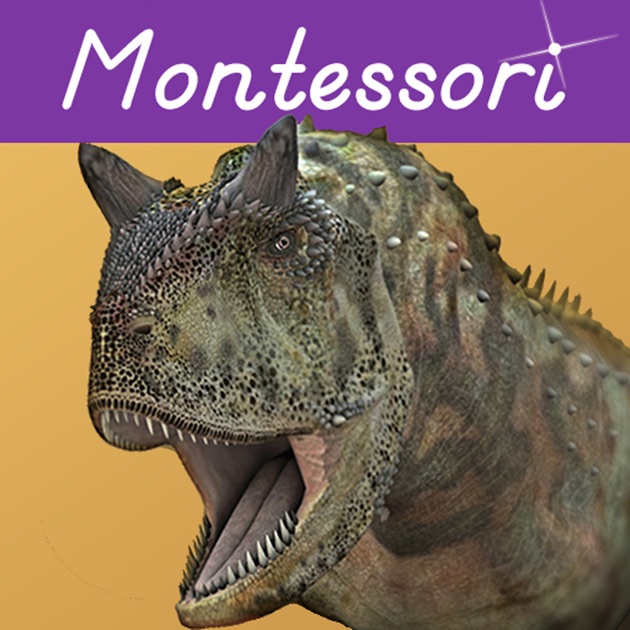 montessori dinosaur unit