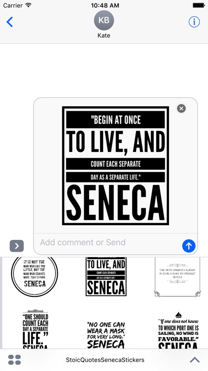 Stoic - Seneca Quote Stickers for iMessage screenshot-4