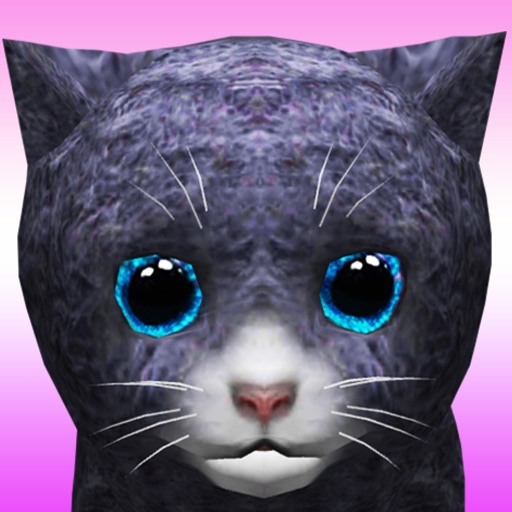 KittyZ, my virtual pet cat