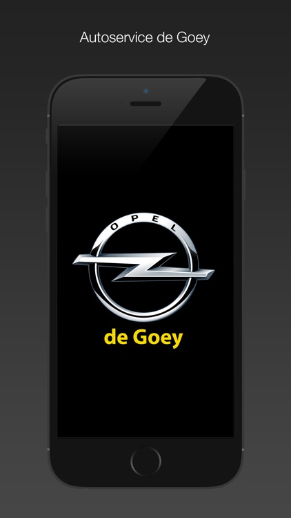 Autoservice de Goey