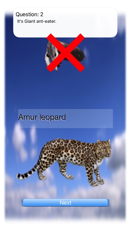 Animal Walk Touch screenshot-4