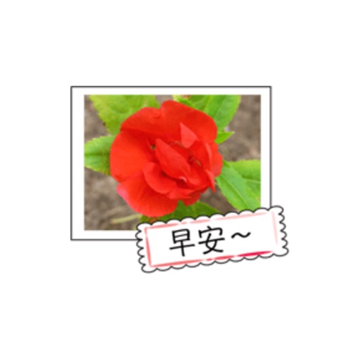 Wild Flowers - 2 stickers by wenpei