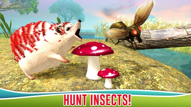 Forest Hedgehog Simulator 3D(圖2)-速報App