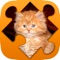 Are you a true admirer of jigsaw puzzles but tired of constantly missing pieces
