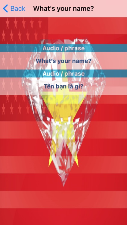 Vietnamese Phrases Diamond 4K Edition