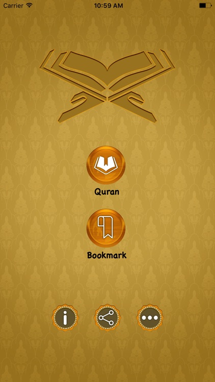 Bosnian Quran Translation and Reading