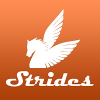 Show Jumping Strides pour PC