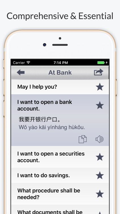 Financial Chinese Pro - Phrases & Vocabulary