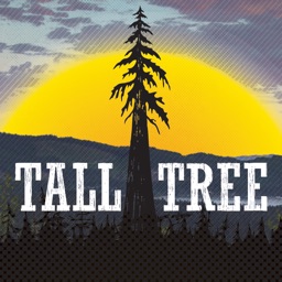 Tall Tree Music Festival