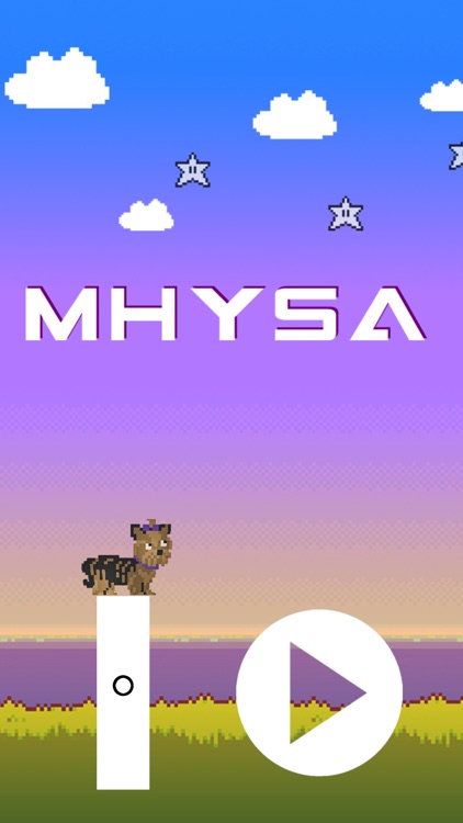 Mhysa - A Jumping Yorkie!