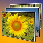 Top 30 Photo & Video Apps Like Slideshow 3D Lite - Best Alternatives