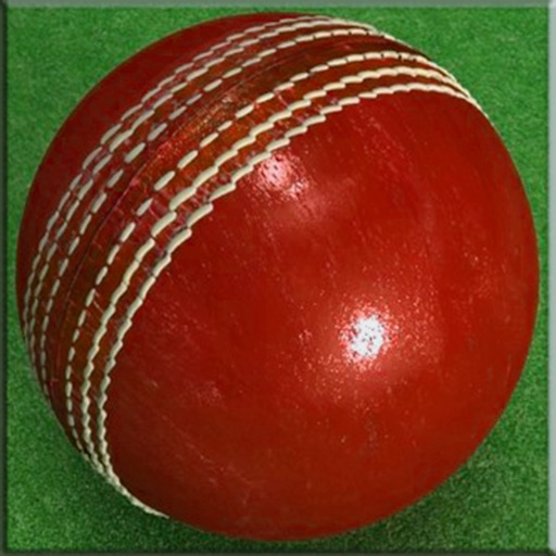 Cricket Ball Stay In The Line A Perfect Game To Get Ready For World
