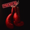 20 Min Boxing Workout -  Train like a boxer Pro
