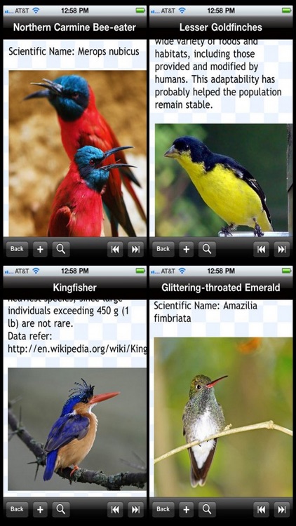 Birds Encyclopedia
