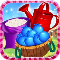 Activities of Blossom Garden Match 3