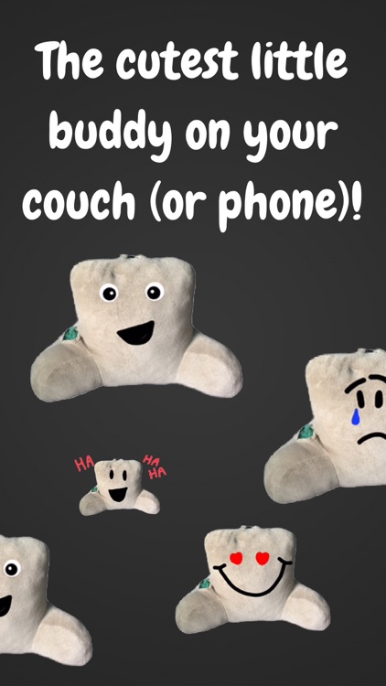 Couch Pillow
