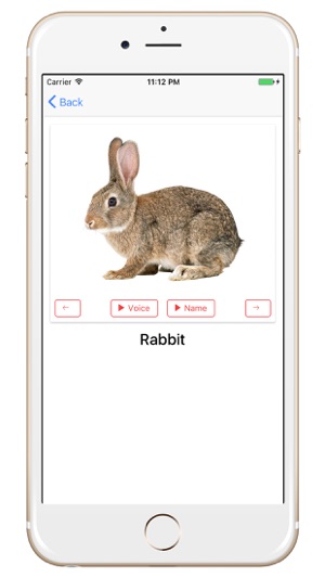 Animal Sounds and Photos(圖4)-速報App