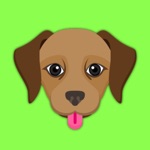 Chocolate Labrador Photo Booth