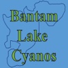 Bantam Lake Cyanos