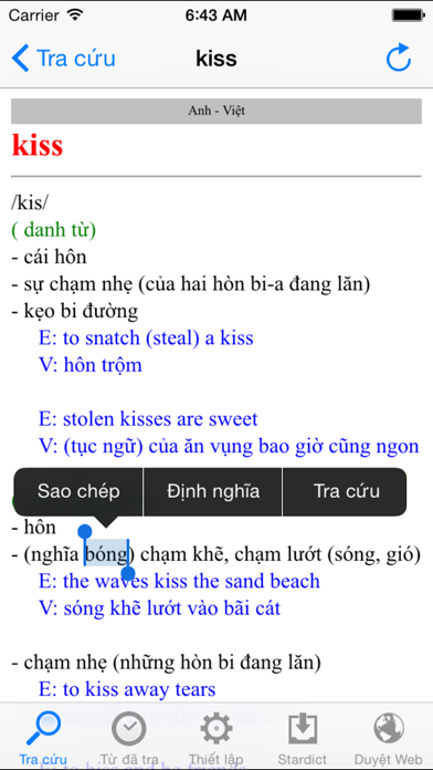Từ điển (Vietnamese D... screenshot1