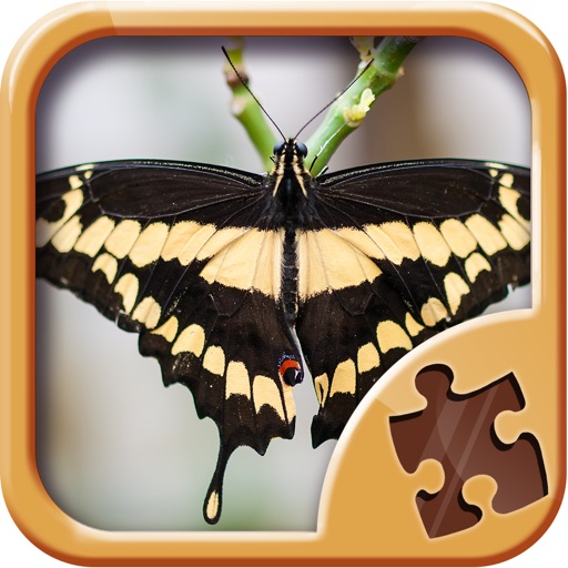 Butterfly Jigsaw Puzzles - Cool Puzzle Games iOS App