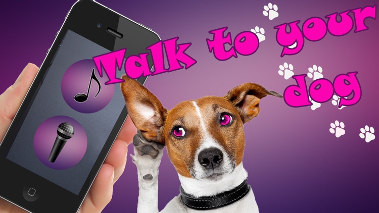 Dog Translator Prank