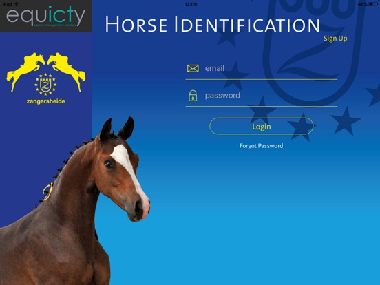 iPad Image of Equicty Horse Identity