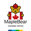 ACBEU MAPLEBEAR