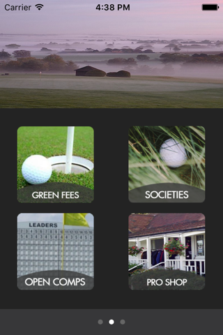Temple Golf Club screenshot 2