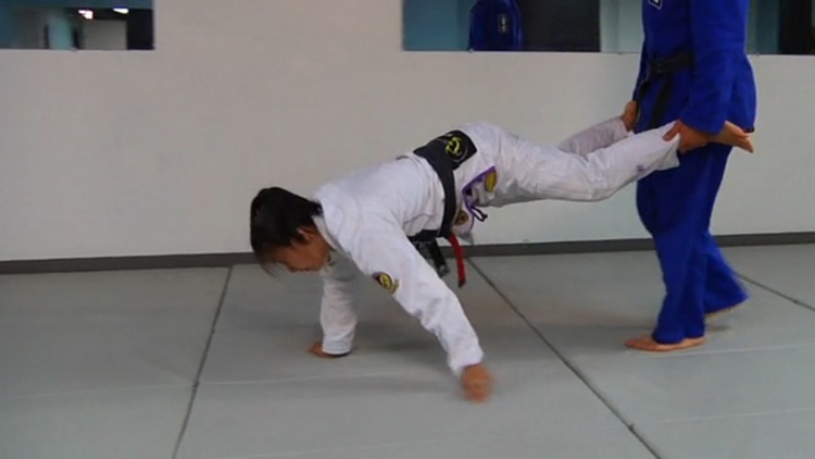 BJJ Gripfighting & Drills
