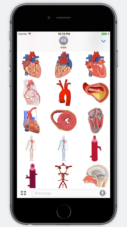 Anatomy Stickers screenshot-2