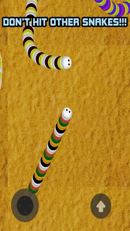 Snakes Battle Game