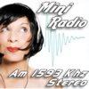 Mini Radio Am 1593 Khz