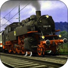 Activities of Train simulator Real Indian 2017