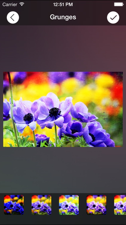 Photo Wizard Pro screenshot-0