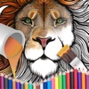 Animal Coloring Kids Book