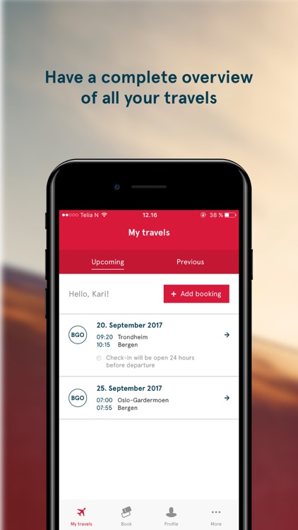Norwegian Travel Assistant