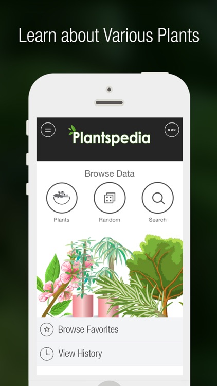 PlantsPedia - Guide to House & Garden Plants