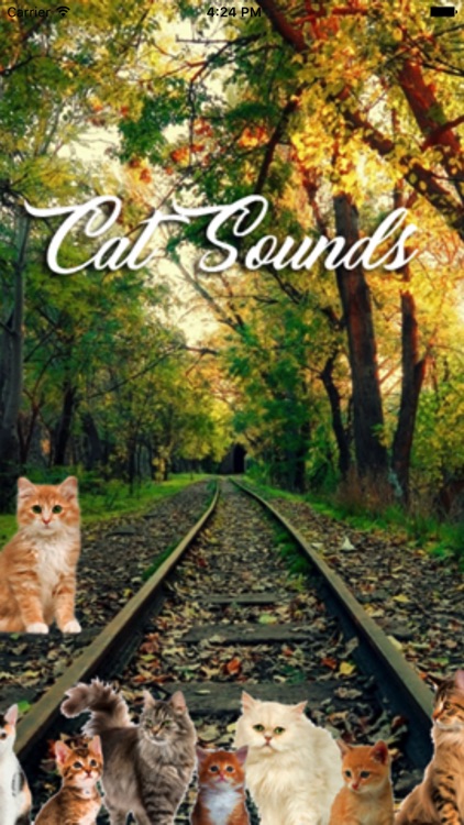 Cat Sounds and Music