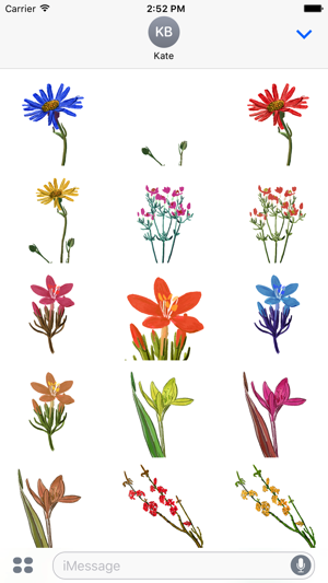 Botanical Flowers Stickers(圖2)-速報App