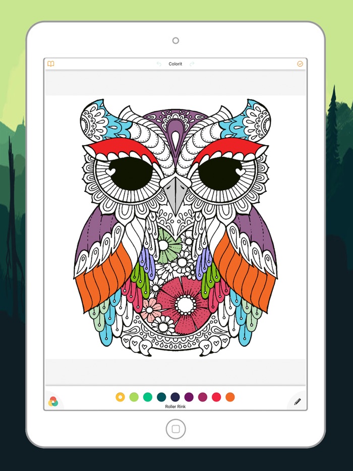 Búho lindo para colorear páginas de dibujo