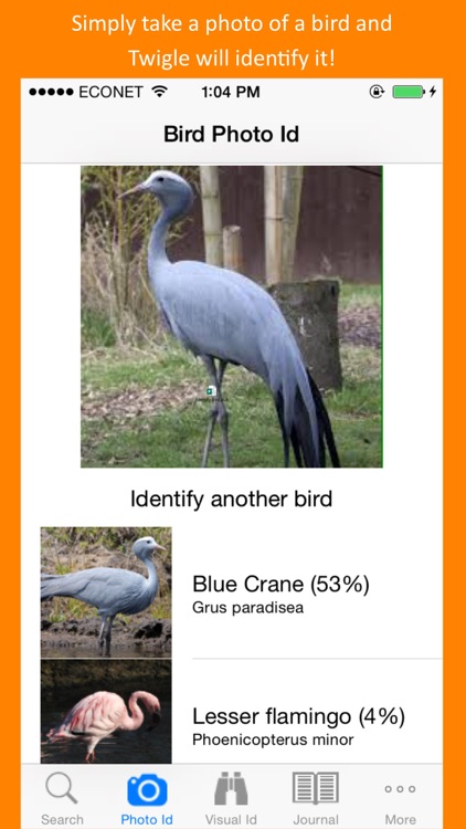 Twigle Birds Field Guide screenshot-0