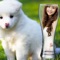 Icon InstaMag - Cute Pet Camera