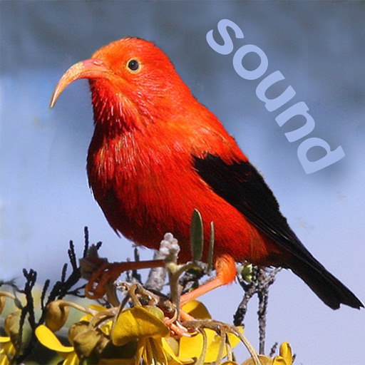 Bird ID Hawaii for iPhone