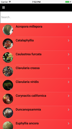 Coral Species: Types of Coral(圖3)-速報App